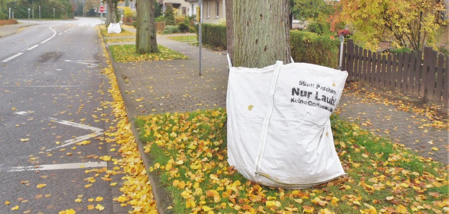 In den nächsten Wochen werden in der Kreisstadt die großen weißen Säcke zur Laubsammlung verteilt.